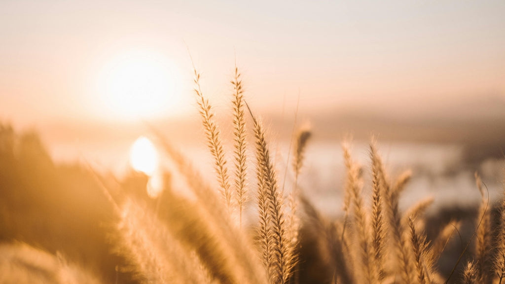Lessons in Balance: What My Son and This Season Are Teaching Me
