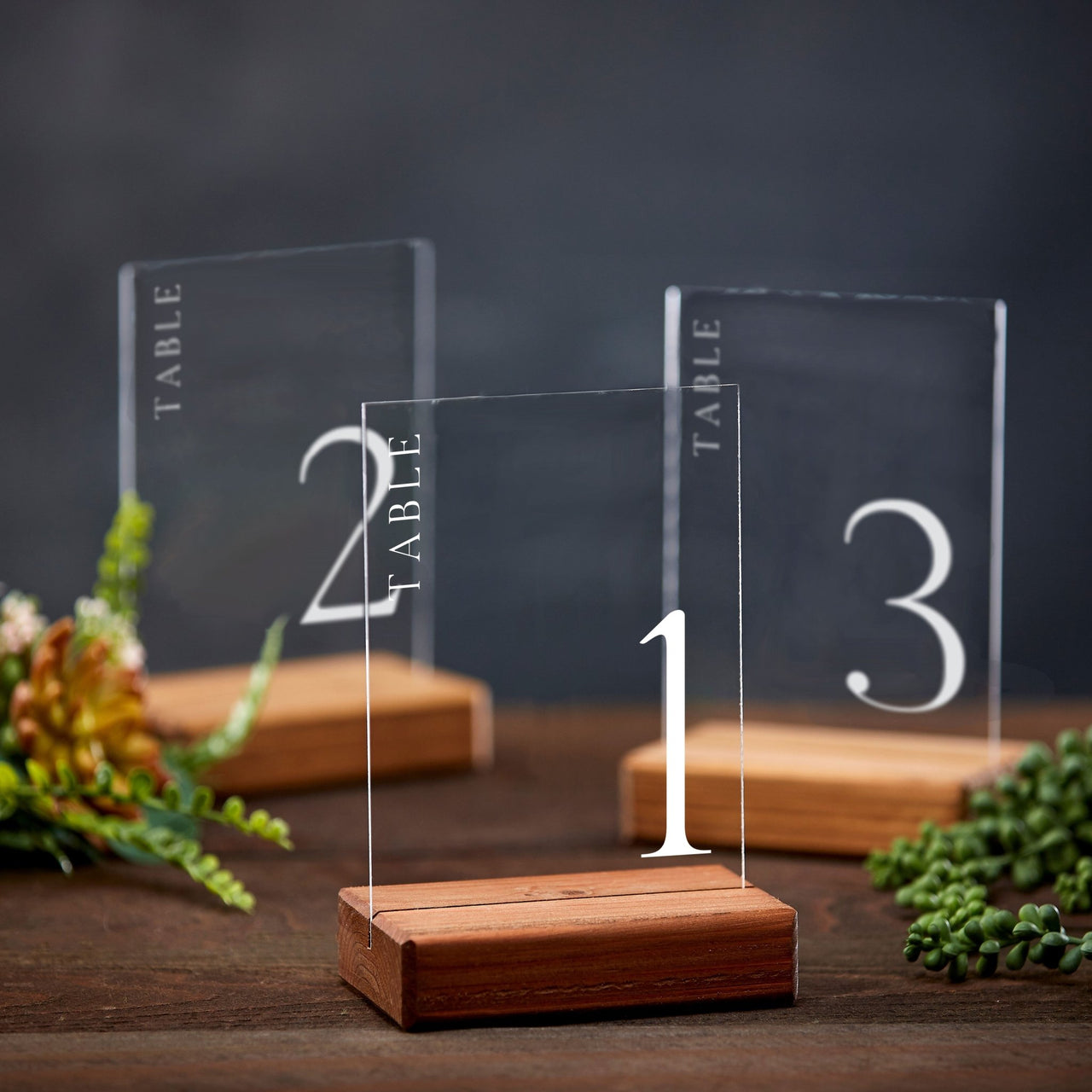 Modern Minimal Acrylic Table Numbers - Rich Design Co