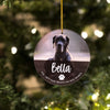 Pet Memorial Photo Ornament - Rich Design Co